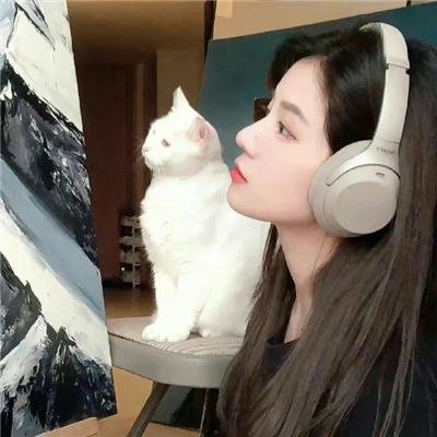 最美中轴线第三季